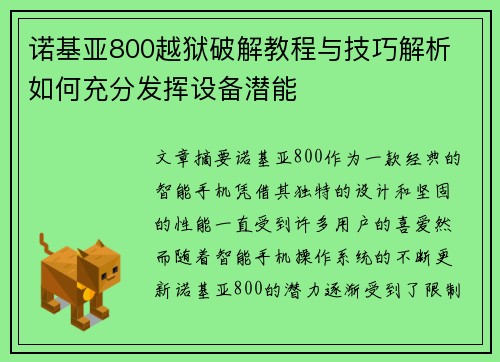 诺基亚800越狱破解教程与技巧解析 如何充分发挥设备潜能